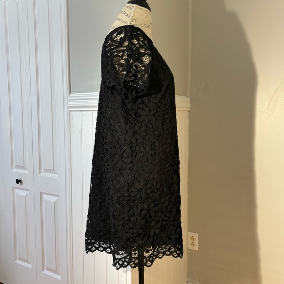 BB Dakota Women’s Black Lace Mini Dress Size L - Picture 5 of 15